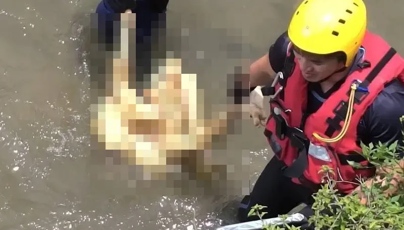 颱風前夕！卓蘭老庄溪驚現「瘦扁浮屍」　警消打撈見真相、表情扭曲
