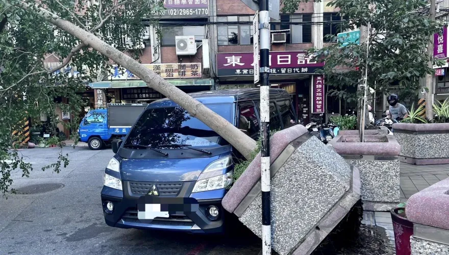 快訊/板橋路樹遭強風吹倒　水泥基座傾倒壓貨車幸無人傷