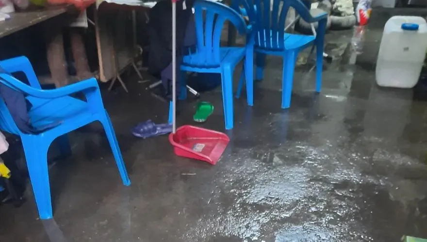 影/風大雨大路樹塌！杜蘇芮到「台東災情頻傳」　初鹿樹倒、成功鎮民宅淹水