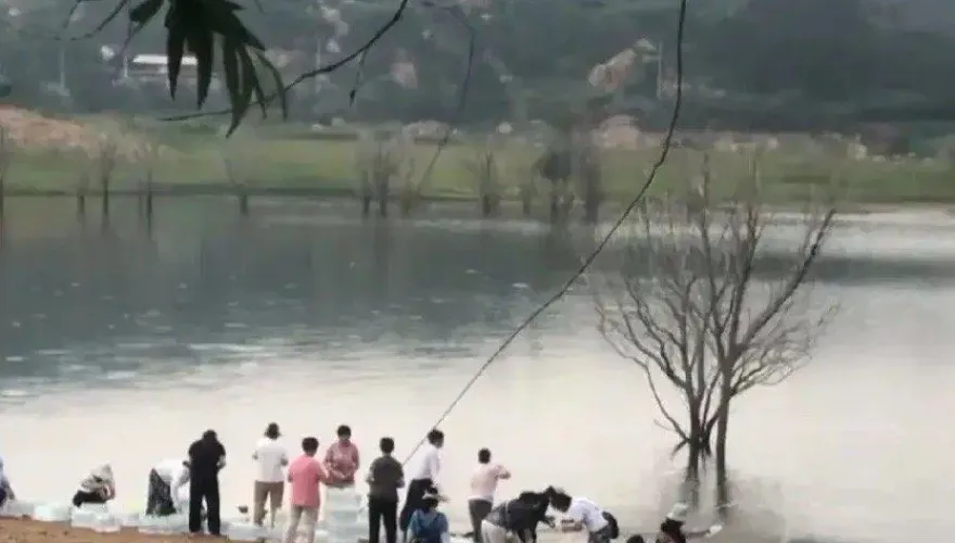 影/謎之行為！群聚水庫「放生」礦泉水？當地水務局：水質檢測無異常