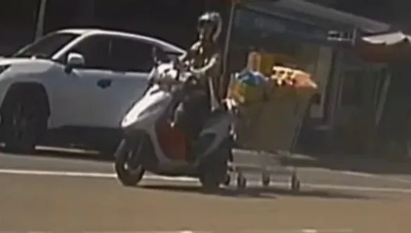 影/颱風天採買連購物推車也拖回家？樹林街頭驚現超狂「聯結車」　警方：要罰