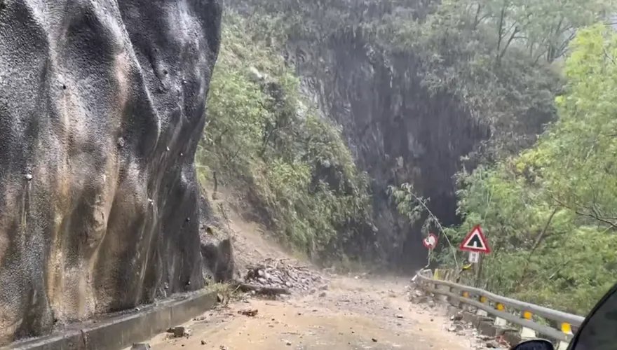杜蘇芮交通/台東警無懼風雨徹夜護鄉民！徒手移除傾倒路樹護交安
