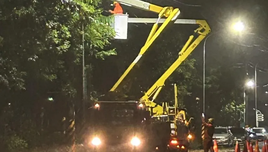 杜蘇芮災情/高雄路樹倒一片　計程車排班遭壓、民眾波及受傷