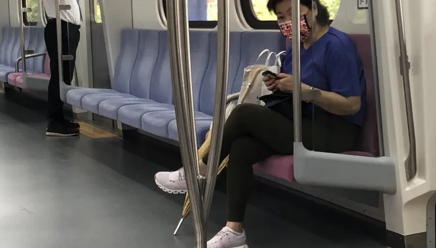 奧客出沒！民眾目睹颱風天「八哥偷搭火車」躲雨　列車長回應了...