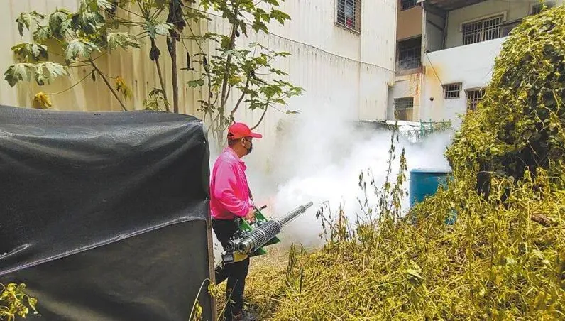 南投縣首見本土登革熱病例！病原來自「這縣市」　衛生局緊急消毒