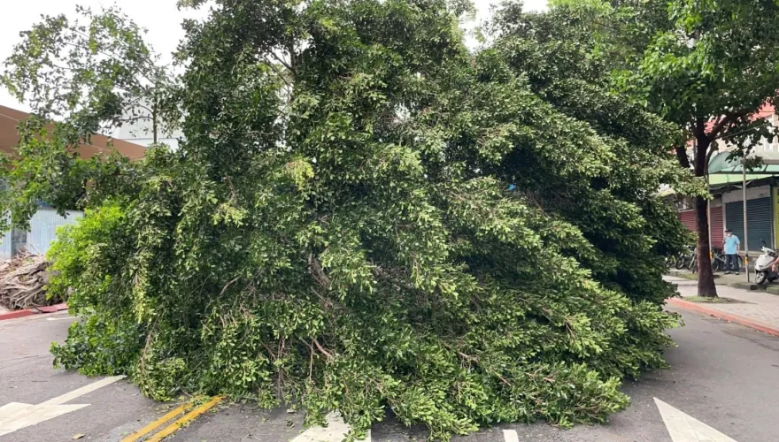卡努災情/16級風釀停電　全台還有1540戶搶修中