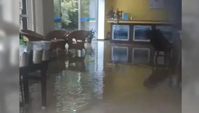 卡努災情/雨彈狂炸！南投仁愛鄉道路坍方　溫泉旅館變泳池
