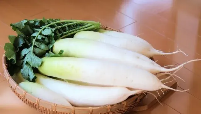 立秋來了！緩解皮膚乾燥、易咳困擾　中醫推吃「白色食物」養肺