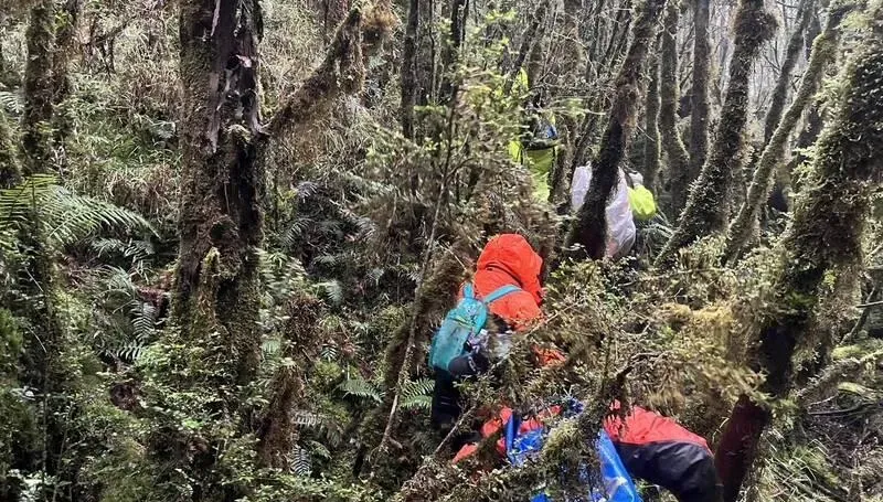官方宣布放棄！男子爬太平山三星池人間蒸發2周　家屬淚請民間搜救隊接手