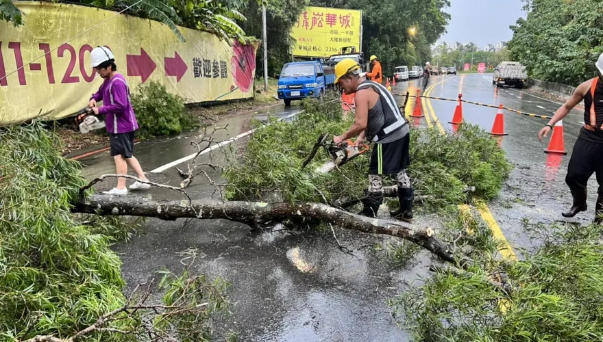快訊/雙北大雷雨開炸！新店路樹倒塌阻路　現場交管中