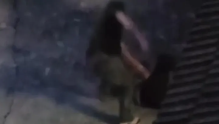 影/豬狗不如！雲林逆子父親節爆揍老母親　她倒地哀嚎還慘被拖行凌虐