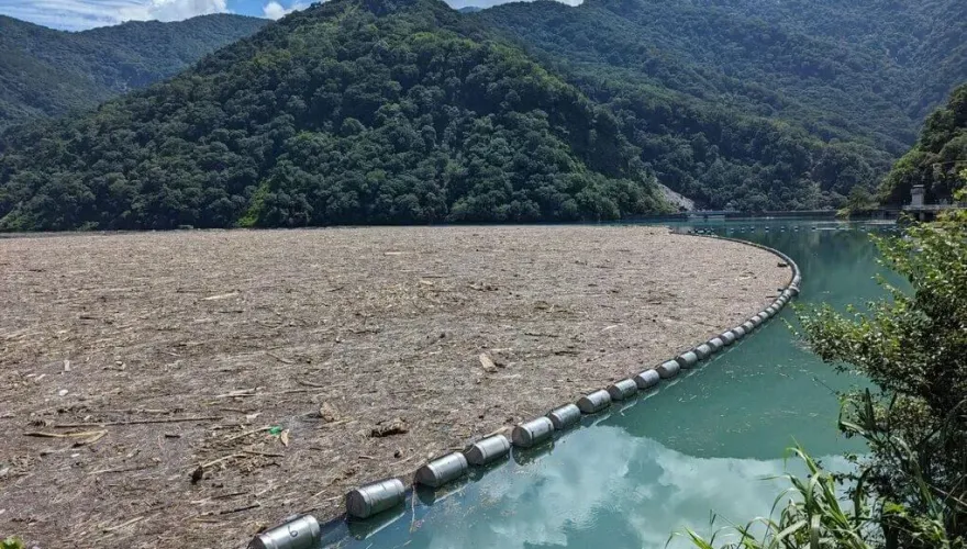 霧社水庫現大量漂流木　台電全力清除需時逾1個月