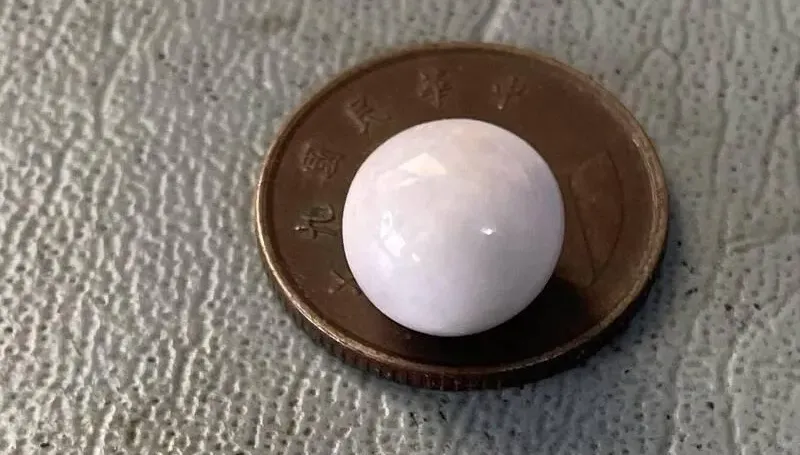 40年首見！澎湖牡蠣挖出0.9CM「天然大珍珠」　業者不賣當傳家寶
