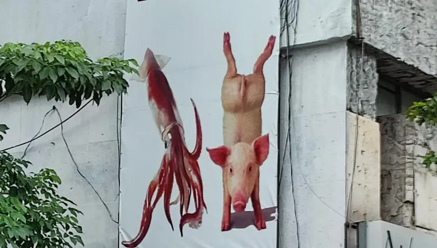 沒創意就沒生意！北市街頭「魷魚倒立豬」廣告引話題　網友玩梗：豬立輪和厚魷魚