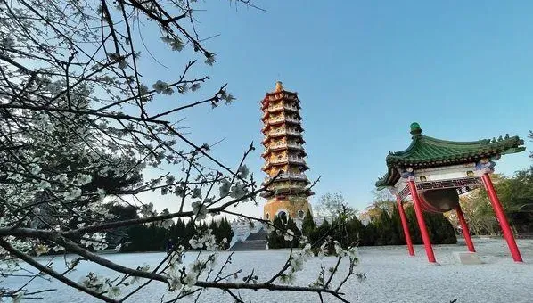 驚！南投慈恩塔塔頂驚見64歲男子歿　遊客日月潭俯瞰美景慘變「屍景」