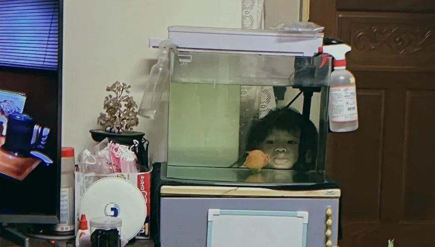 鬼月奇談/魚缸驚見「女童蒼白人頭」眼神死　原來是姪女後面看金魚