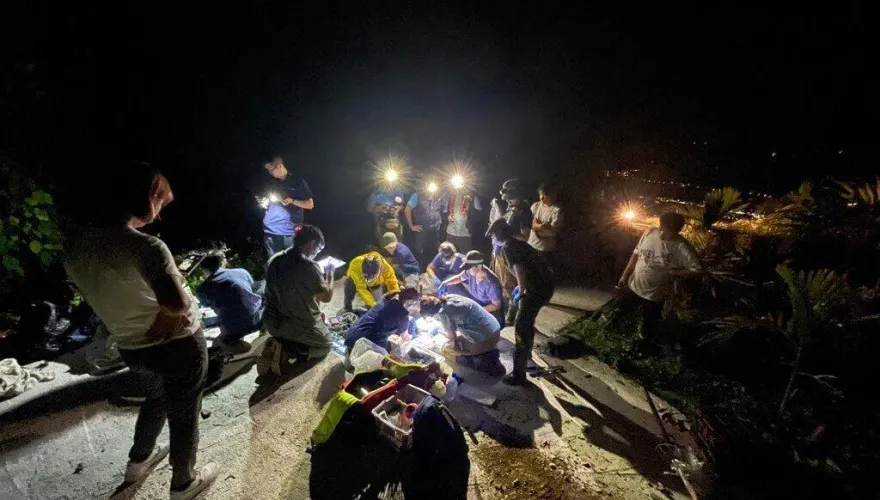 花蓮少年爬山驚見台灣黑熊受困！機警通報救援　救回黑熊一命