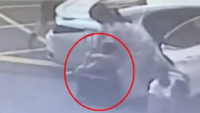 粗心父母闖禍！摺疊手拉車當成娃娃車　2幼童「高速滑落車道」驚險重摔