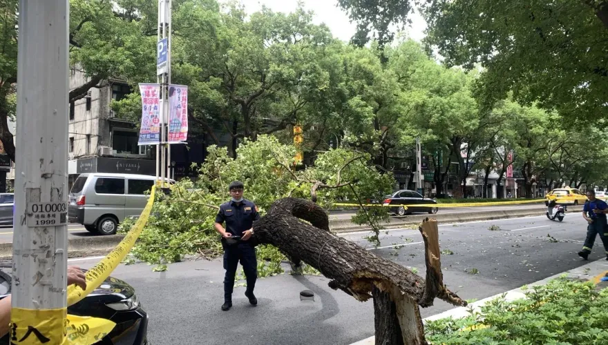 快訊/普渡路上斷魂！北市57歲退休司機「路樹砸爆頭」浴血、送醫不治