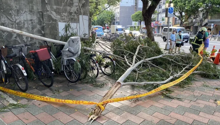 快訊/北捷六張犁站旁「營區樹木斷裂」女路人被砸傷　資通電指揮部道歉了