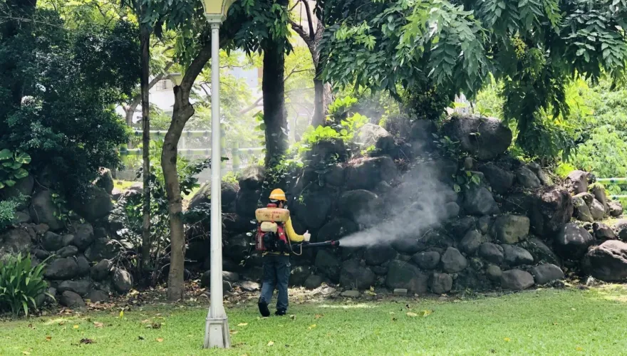 快訊/北市北投區登革熱病例+1　衛生局籲颱風前後清除孳生源