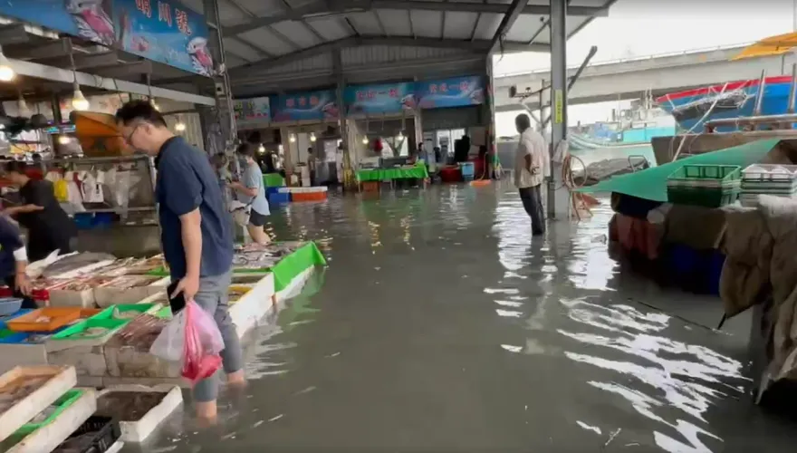 影/「水上市場」？海水倒灌淹魚市場　民眾涉水買魚驚：旁邊還有魚游過