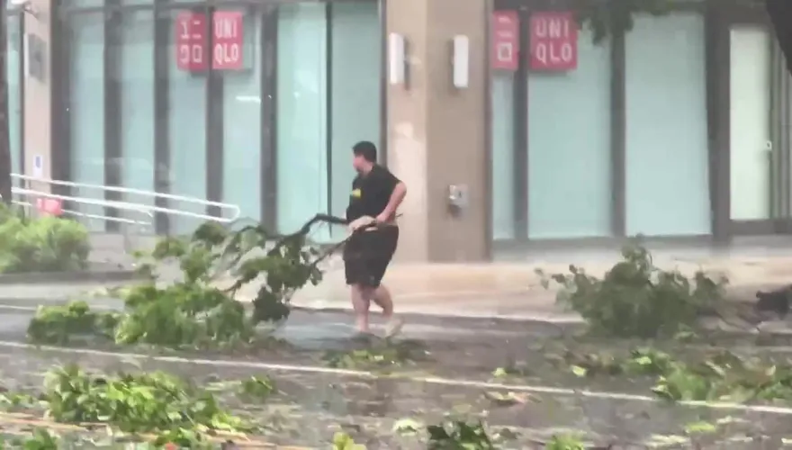 海葵颱風/台東熱心駕駛不畏強風豪雨　冒險移走斷裂路樹