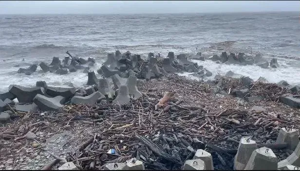 海葵颱風/海葵15級強陣風襲台東　「漂流木海」現富岡漁港外海...震撼畫面曝