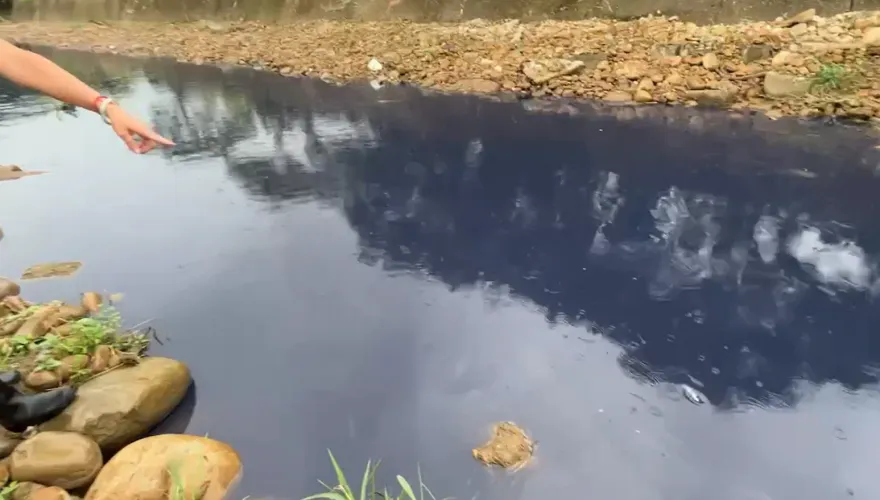 影/心痛！湖口德盛溪原生魚種全死光　竟是「潤泰歇業廠」溢漏釀禍