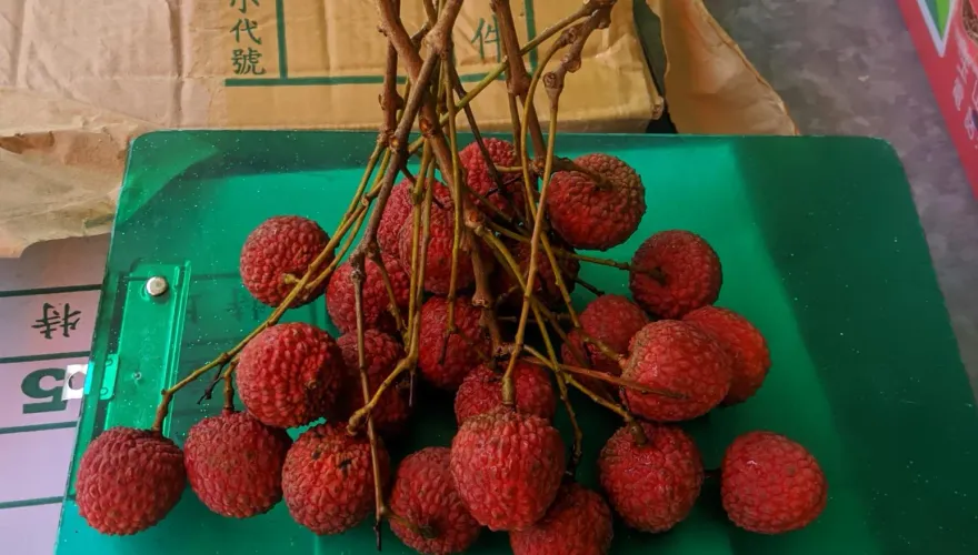 快訊/北市市售蔬果2成4農藥超標！百香果、荔枝入列　衛生局追來源
