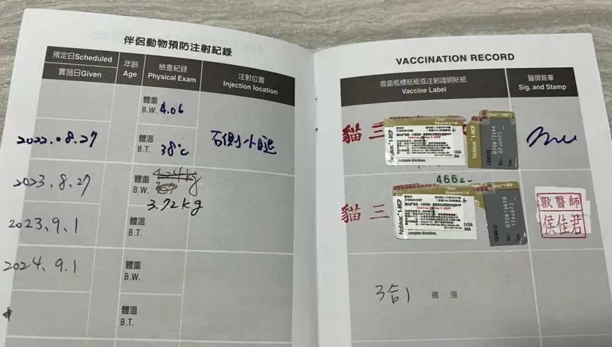 竹北獸醫院10貓打到過期疫苗！ 動保所已前往稽查：最高罰45萬