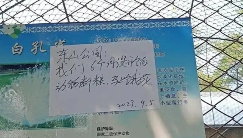 動物斷糧快餓死、飼養員半年沒工資　遼寧一動物園慘貼告示求助…原因曝光