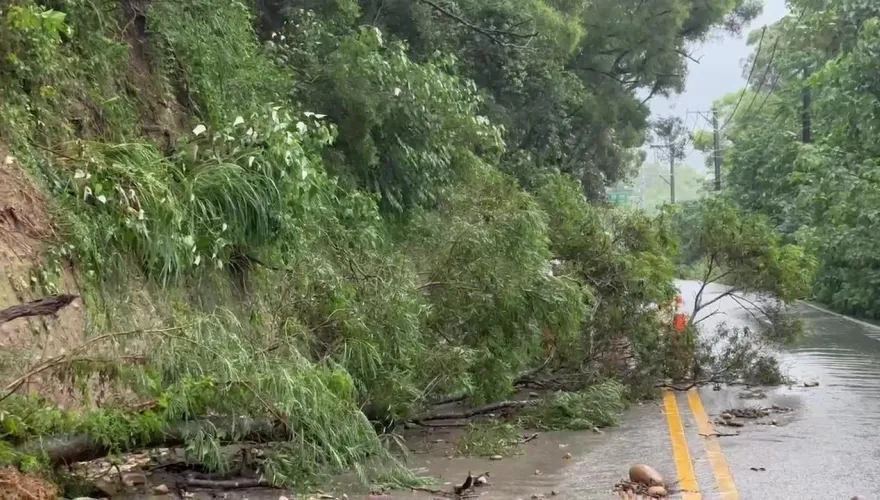 快訊/彰化員林泥流傾瀉！路樹滑落擋道　害3班客運誤點