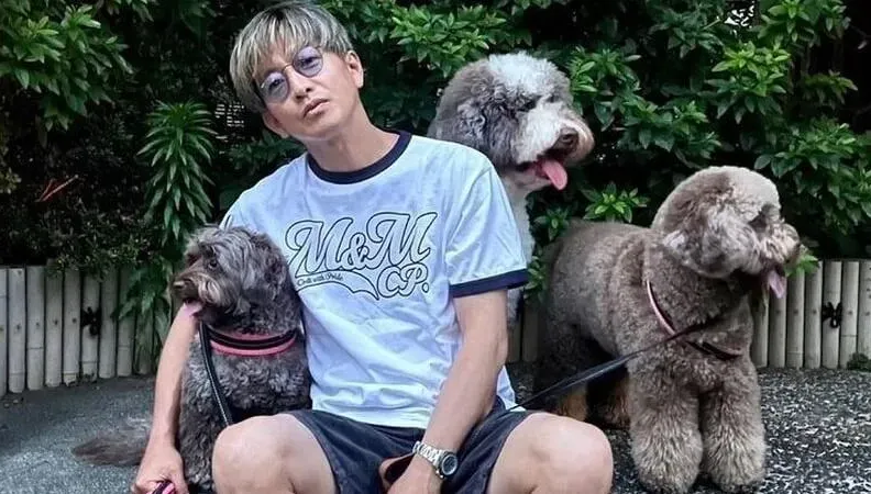 傑尼斯承認喜多川性侵！木村拓哉被爆出走發聲了：相信自己的團隊
