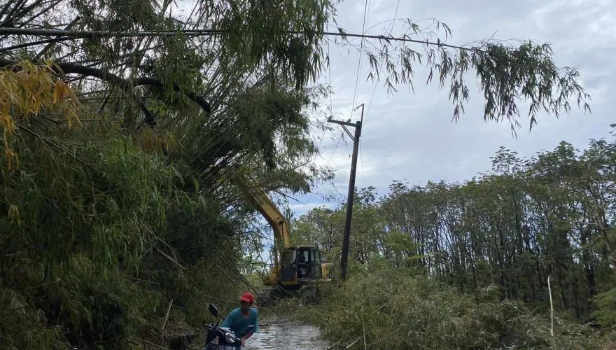 海葵過後台電稱「全台皆復電」　台東民眾怒斥騙人：1週沒電沒水