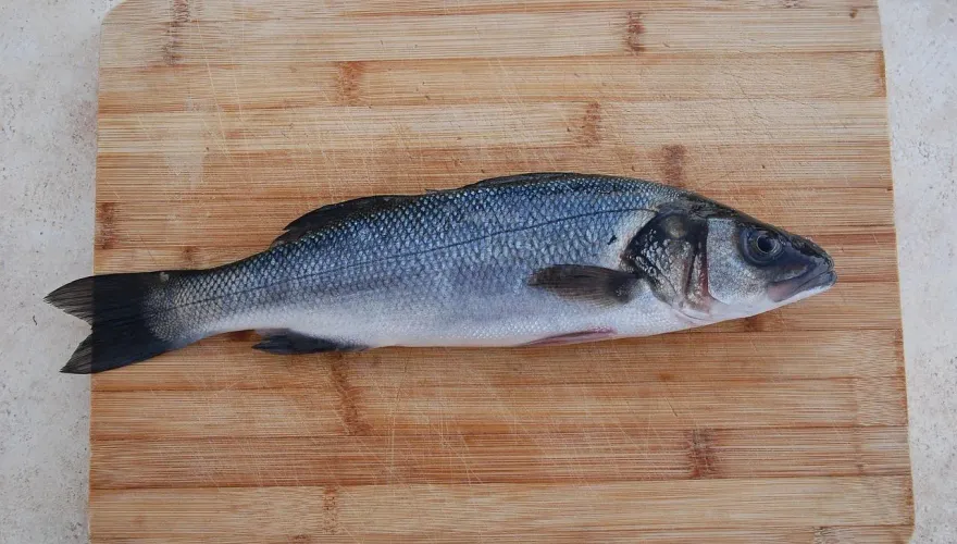 「無毒教母」譚敦慈分享買海鮮3原則！美國研究：鮭魚去皮煎　重金屬少40%