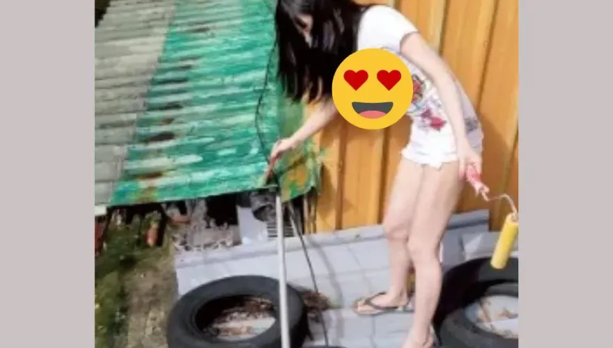 貓毛變綠…她「擅爬別戶屋頂」刷油漆救浪浪！　網見辣照嗨翻：彭小姐是對的