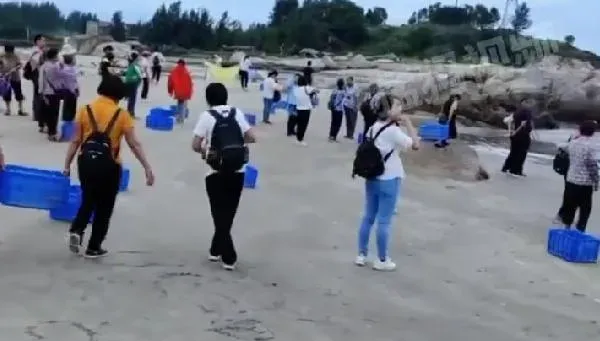 影/又「放生礦泉水」！2大巴載滿人赴海邊　60箱往海裡倒…網:迷之操作