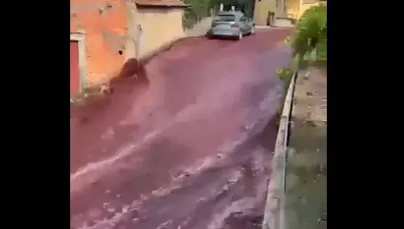 影/葡萄牙儲酒槽爆裂220萬公升紅酒外洩　小鎮街道遭淹沒成另類洪災