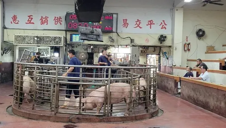 阻豬拍賣勒贖！彰化肉品市場遭駭停市一天　損失約兩千萬