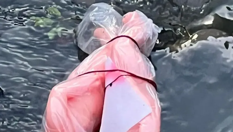 鬼話連篇/超渡？「雙嬰浮屍」遭紅線綑綁丟入河川　嚇壞全網「別亂碰」