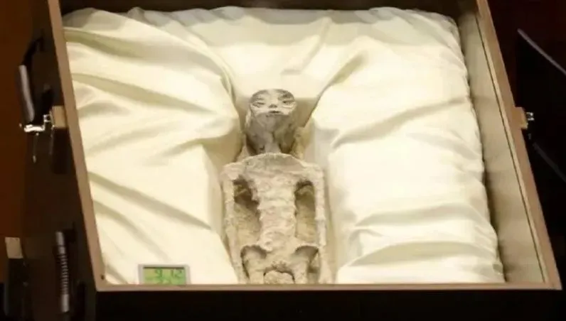 墨西哥國會聽證會展示「2外星人遺骸」　專家掛保證：千年前來到地球