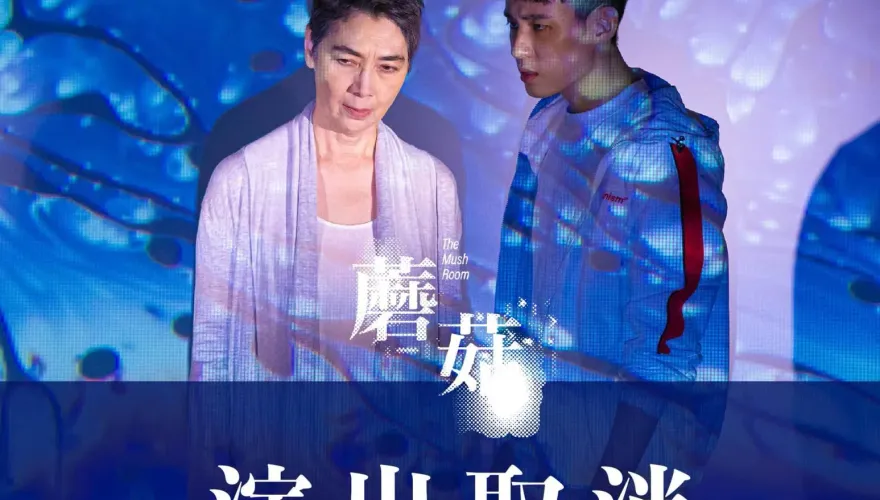 賴佩霞突辭演舞台劇！北藝宣布停演退票　編劇狠酸：總統府椅子肯定好坐