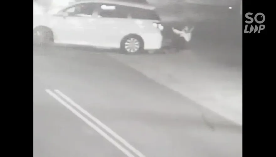 影/超扯影像曝！女乘客剛下計程車　司機猛倒車撞到她腦出血