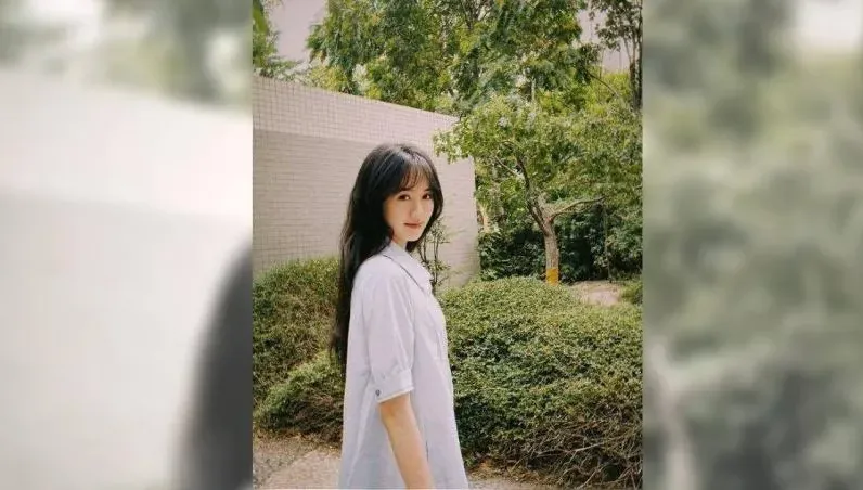 《葉問》女星逃稅被查！多種手法曝光　被追繳稅款加罰款1300萬