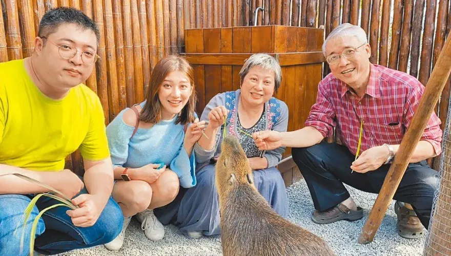【旺旺孝親獎】阿嬤外婆接連過世　林逸欣陪爸媽走出喪親痛