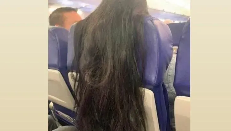 胎歌鬼！飛機椅背「披掛」長髮　網：每2根就給她打一個死結