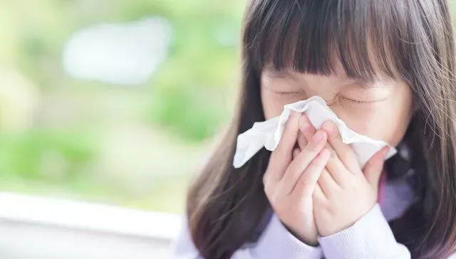 擺脫鼻塞、打噴嚏！「3招」有效對抗過敏性鼻炎...預防是關鍵