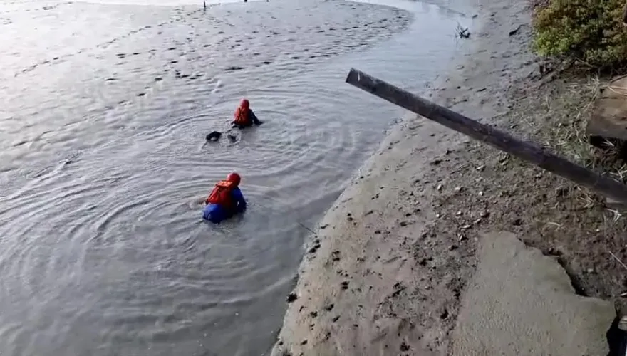 快訊/嘉義落水移工找到了！漂流250公尺卡魚塭身亡