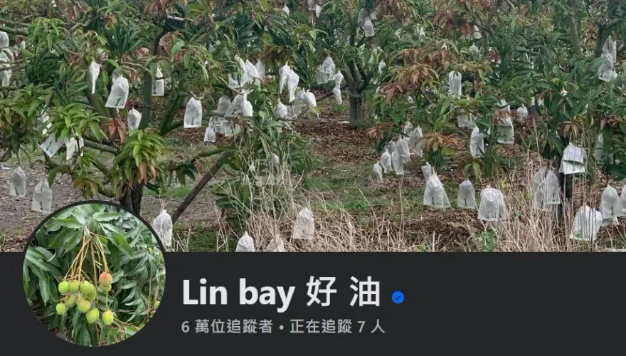 側翼指控一籃水果都賣不出　Linbay好油：抹黑的垃圾敢不敢對賭1000萬？